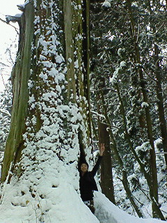 200801021222000.jpg