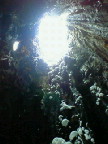 200801050238000.jpg