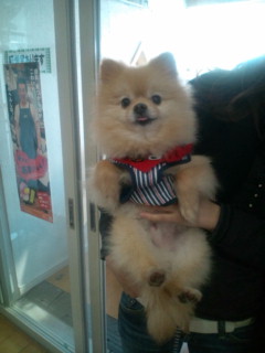 20120409152834.jpg