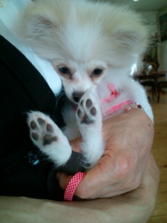 20120417124753.jpg