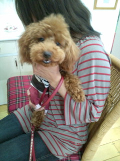 20120507153944.jpg