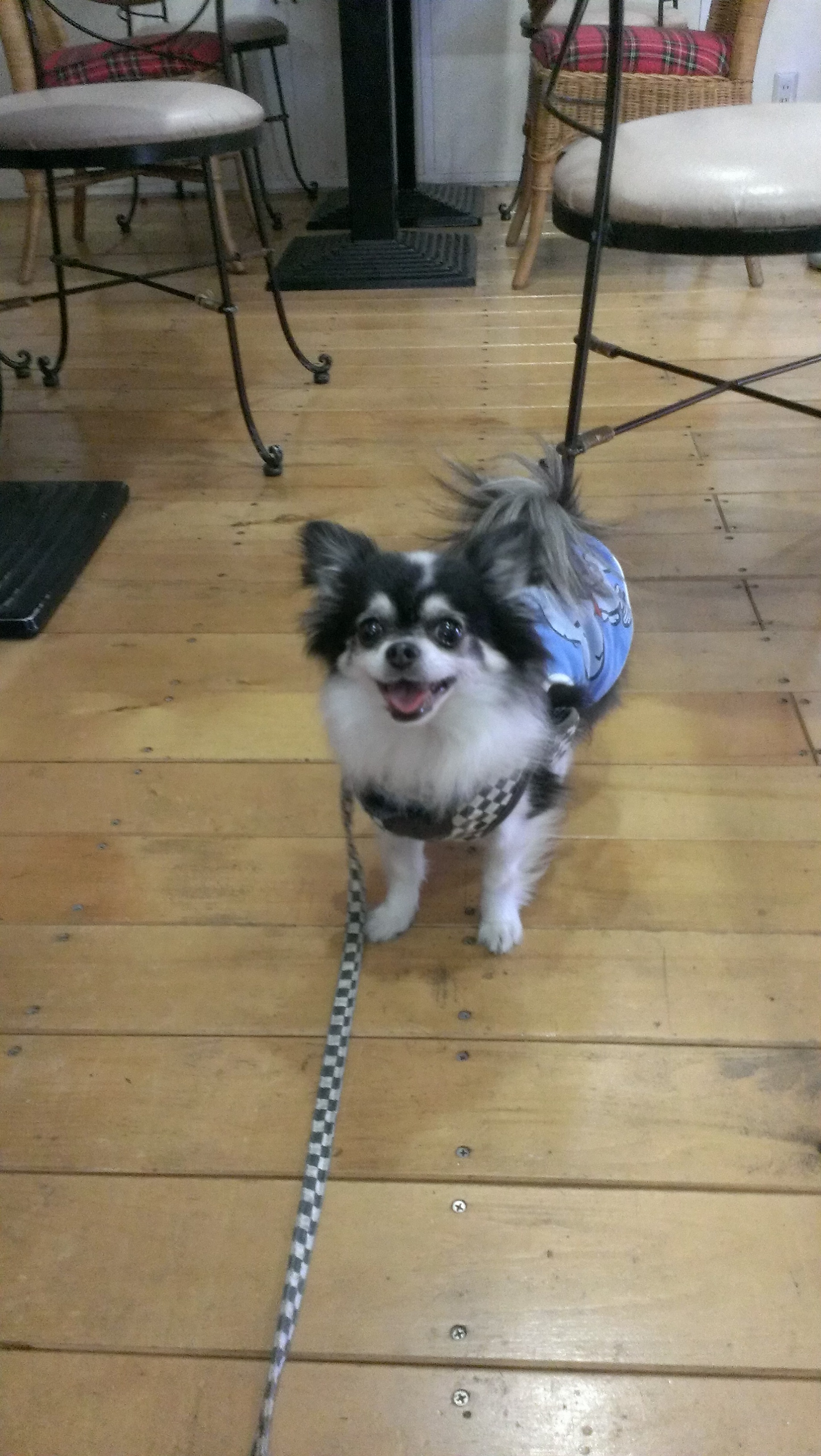 IMAG0036_BURST019.jpg