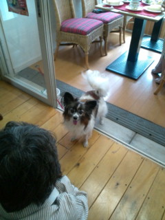 20130624093219.jpg