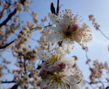 20060311_137467.jpg