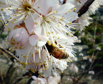 20060311_137468.jpg