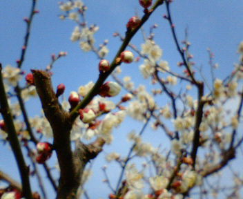 20060311_137469.jpg