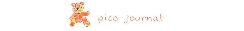 pico journal