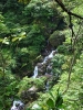 小さな滝