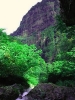 橋から見た岩壁