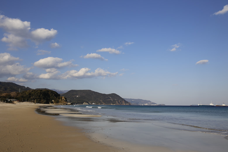 _MG_8048.jpg
