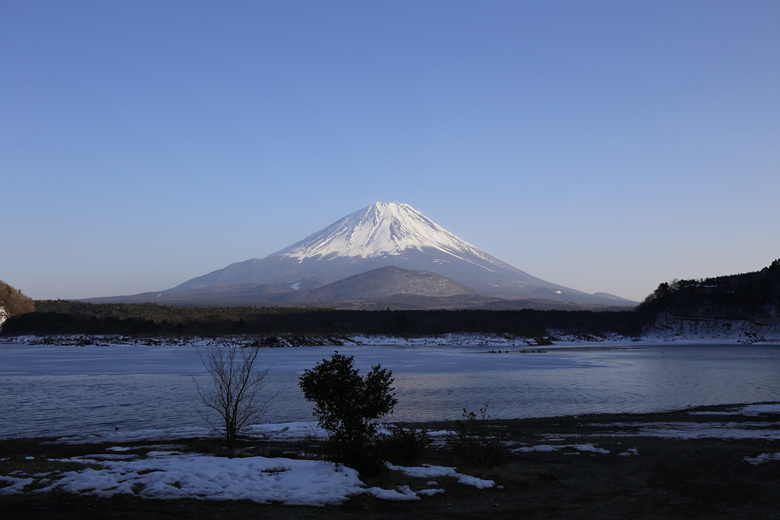 _MG_8340.jpg