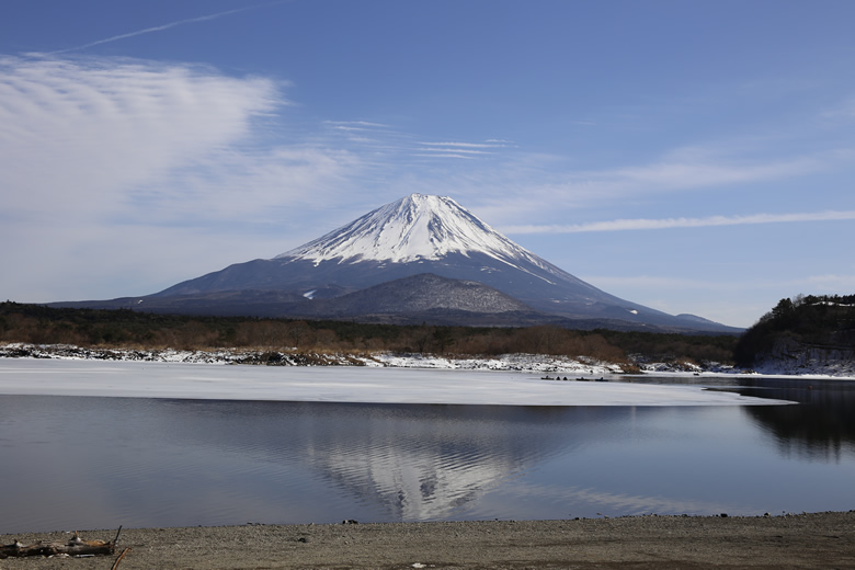 _MG_8431.jpg