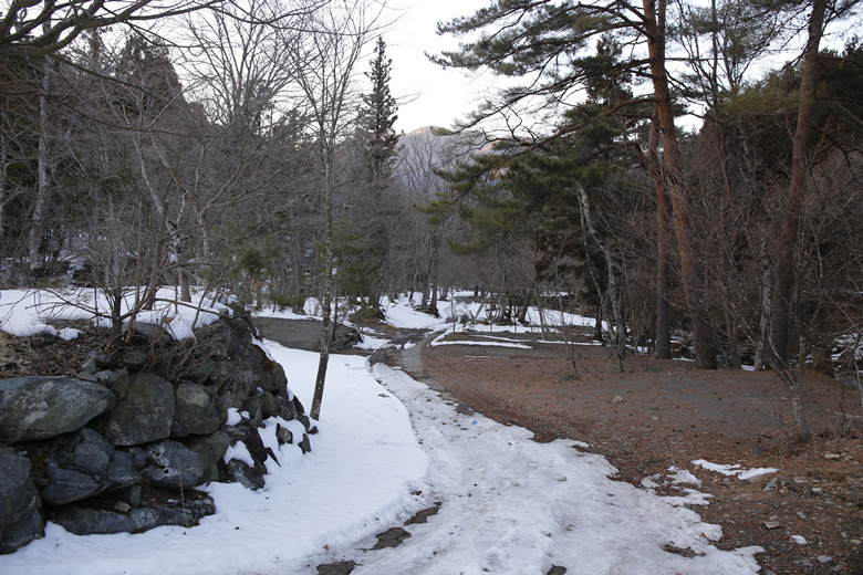 _MG_8437.jpg