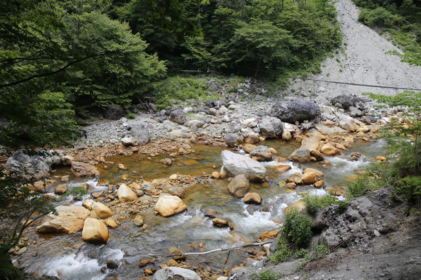 _MG_0001.jpg