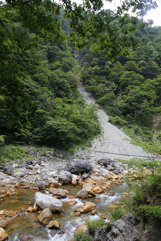 _MG_0002.jpg