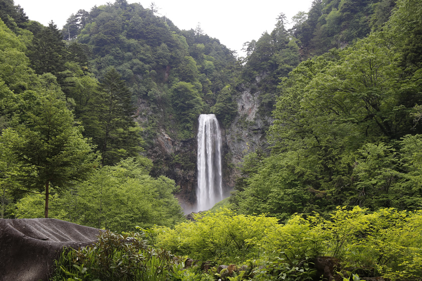 _MG_9941.jpg