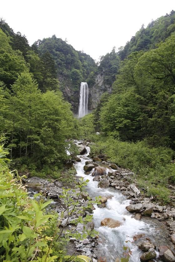 _MG_9944.jpg