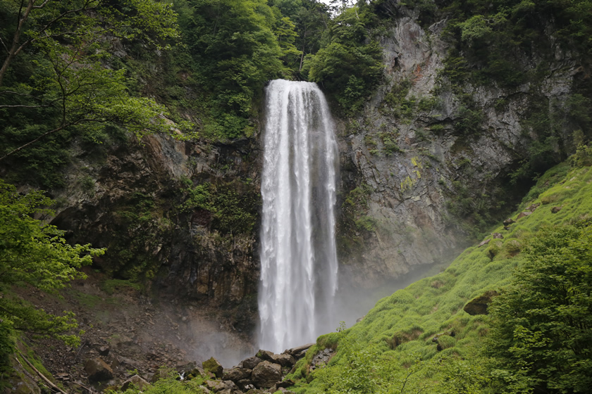_MG_9954.jpg