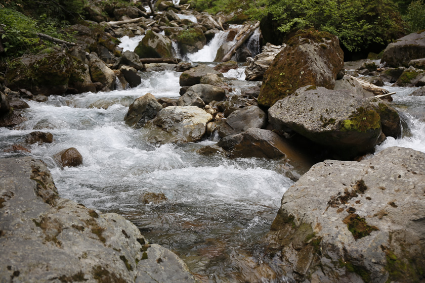 _MG_9958.jpg