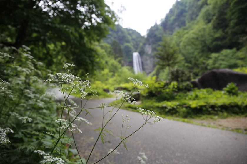 _MG_9959.jpg