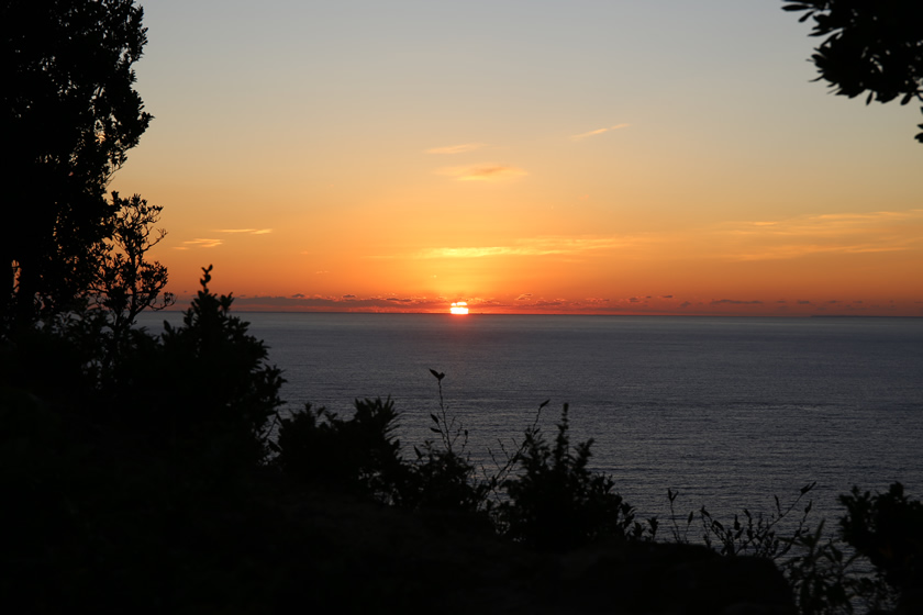 _MG_1747.jpg