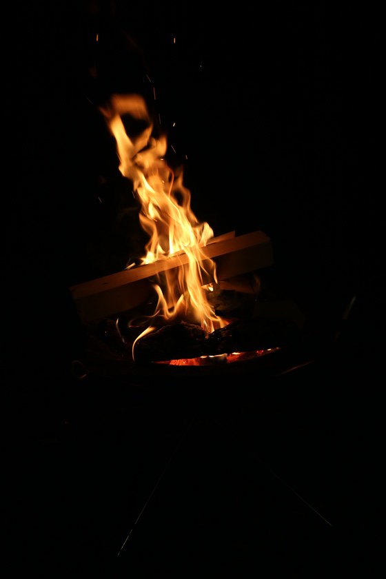 IMG_2262.jpg