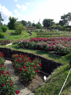 110521_152257.jpg
