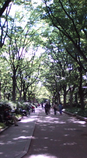 F1010211.jpg