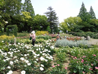 120514_123730.jpg