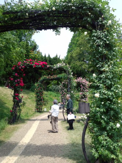 120514_123741.jpg