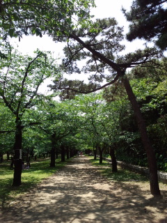 120519_121745.jpg
