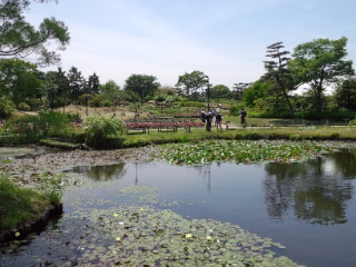 120519_121906.jpg