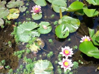 120519_123543_ed.jpg