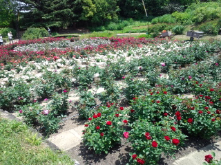 120519_122403.jpg