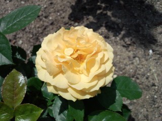 120519_123819_ed.jpg