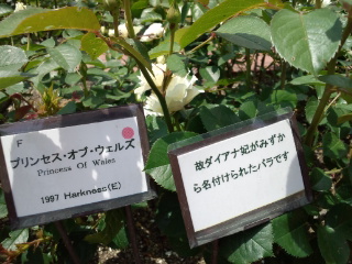 120519_124355.jpg