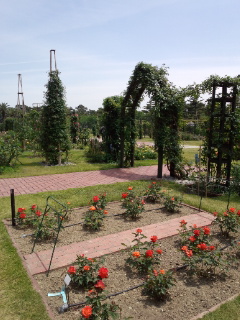 120519_124009.jpg