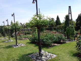 120519_123857.jpg