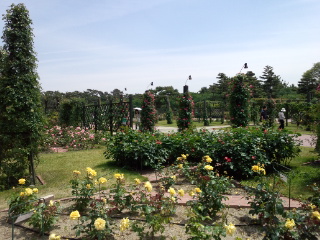 120519_124045.jpg