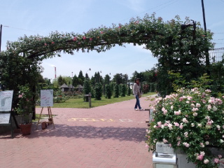 120519_124452.jpg