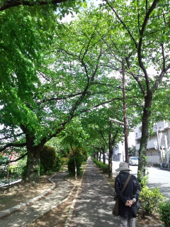 130501_140801.jpg