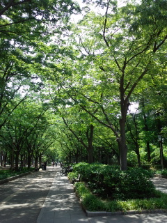 130525_124417.jpg