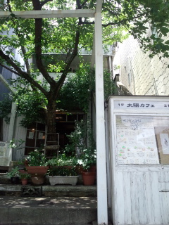 140609_113245.jpg