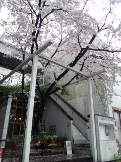 150405_140859.jpg