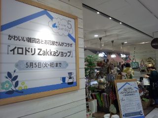150501_154229.jpg