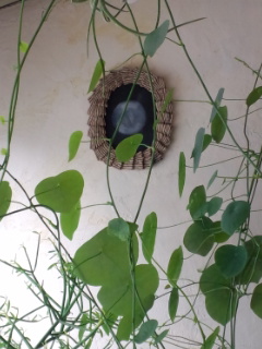 150705_142949.jpg