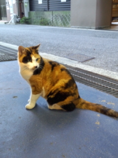 160822_182155.jpg