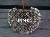 links