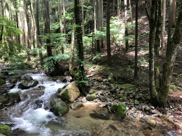 私的雑感 kayagreenスタッフブログ