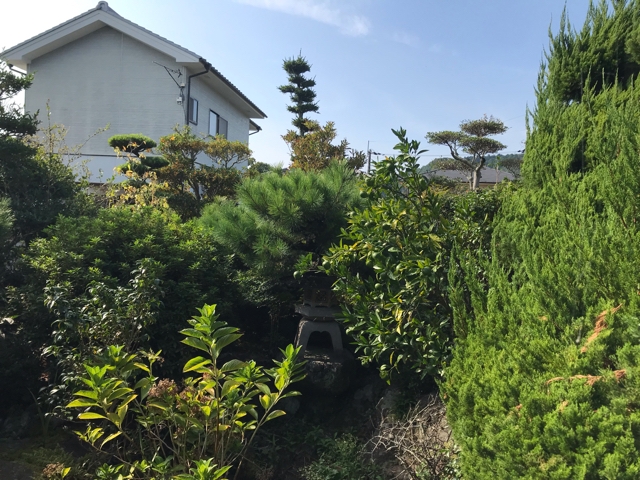 本格的な日本庭園 姫路市 意図 が環境を造る Kayagreenスタッフブログ